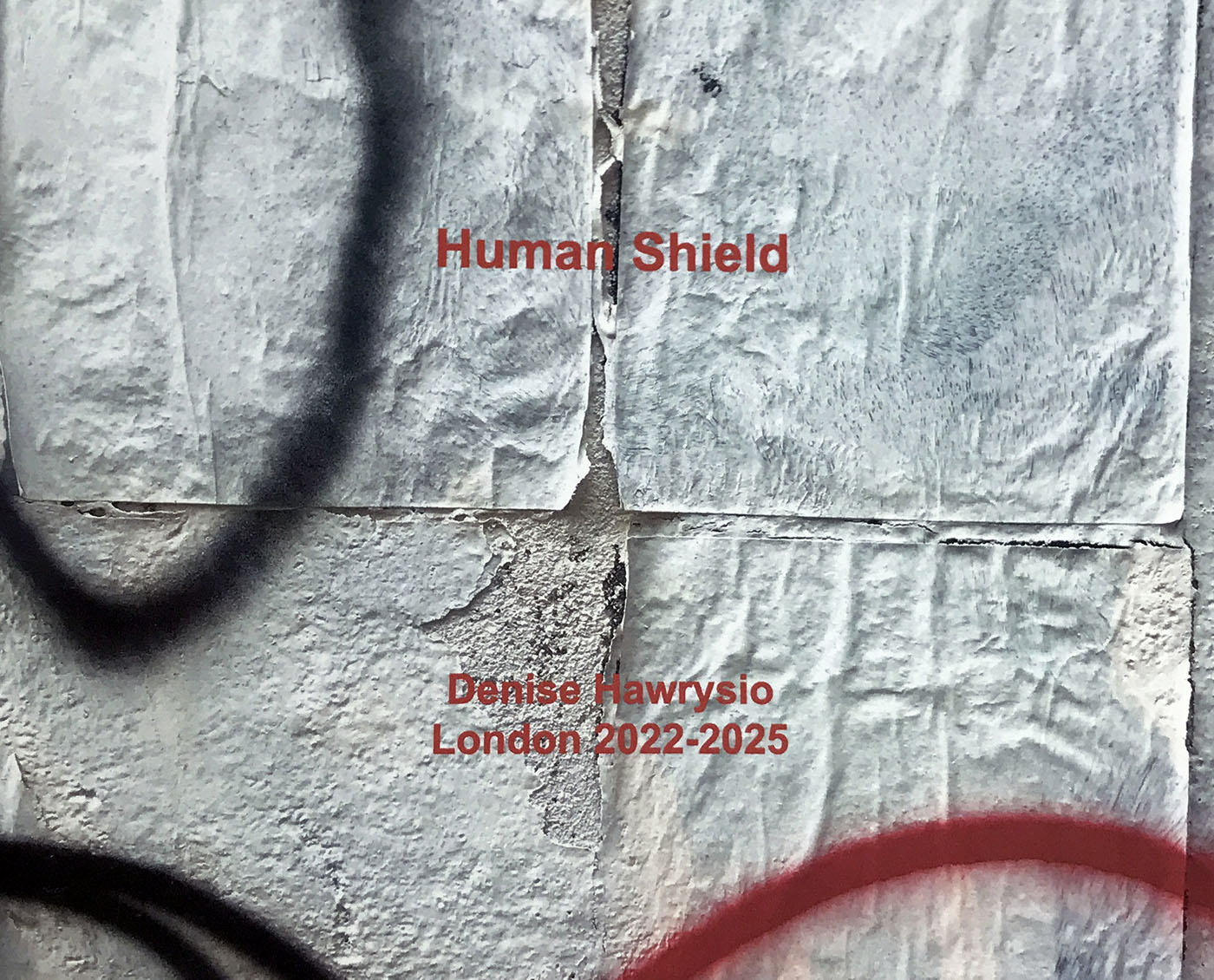 Human Shield — image 1