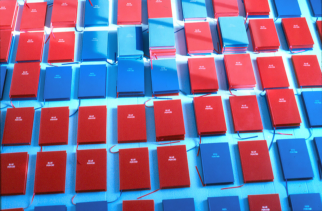 Red Period / Blue Period books in the artist's studio