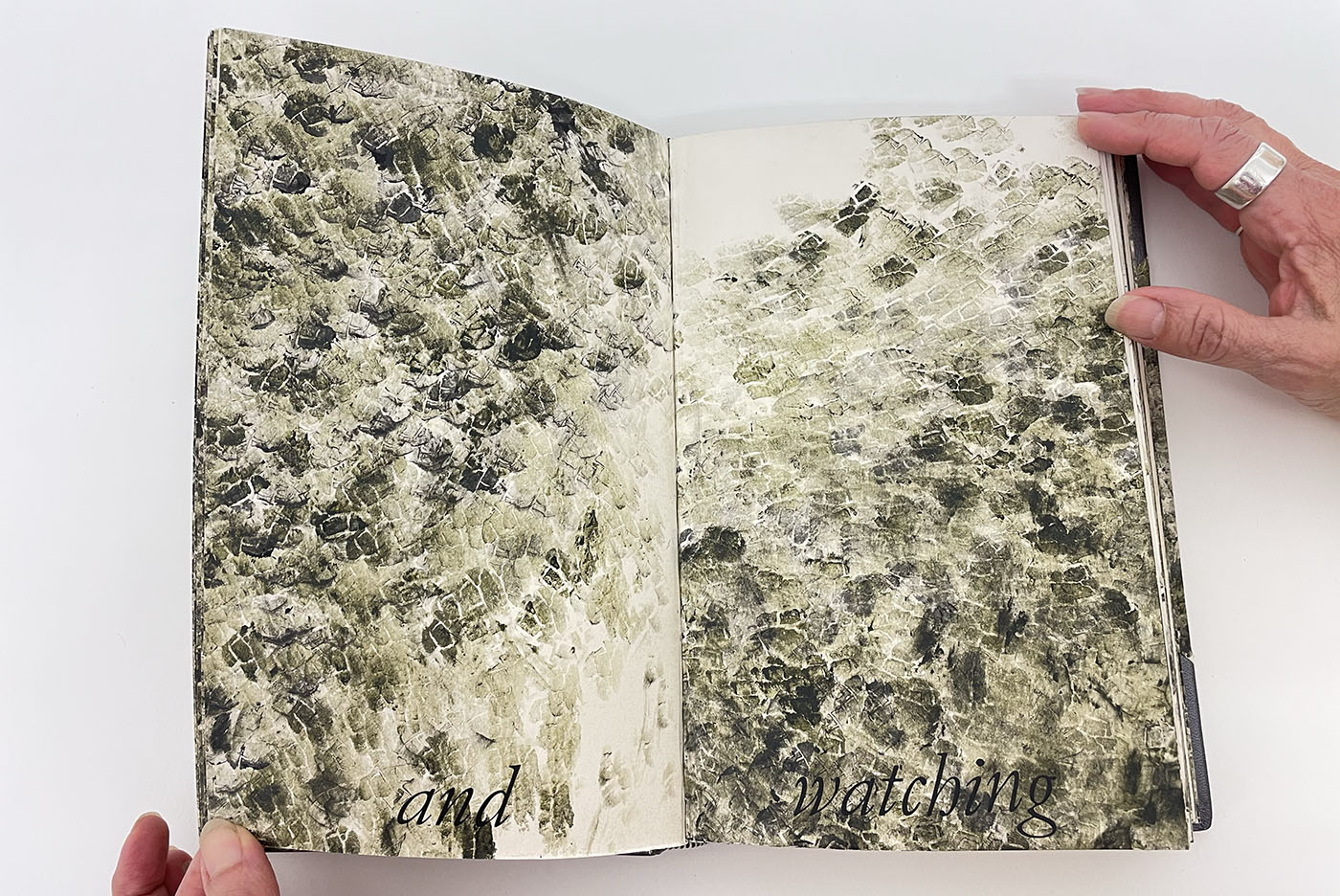 Stillborn Experiments — cover