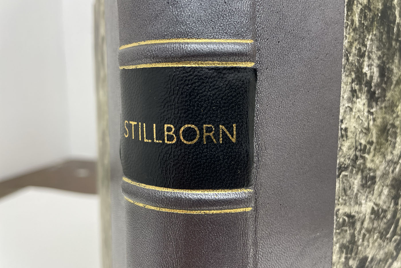 Stillborn Experiments — pages