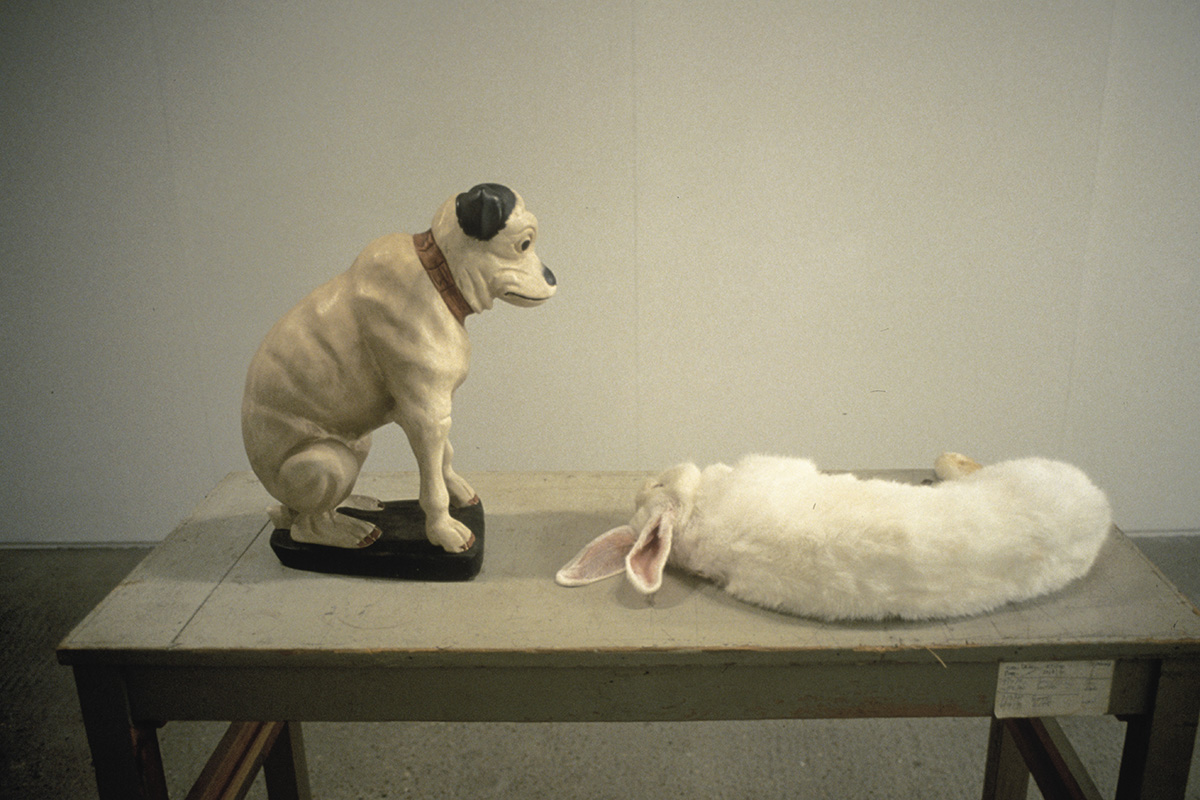 Rabbit and Dog, Tannery Project Space, London, 1995