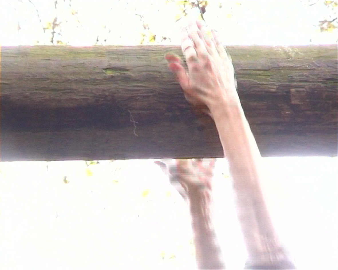 Grasping and Clinging — installation detail