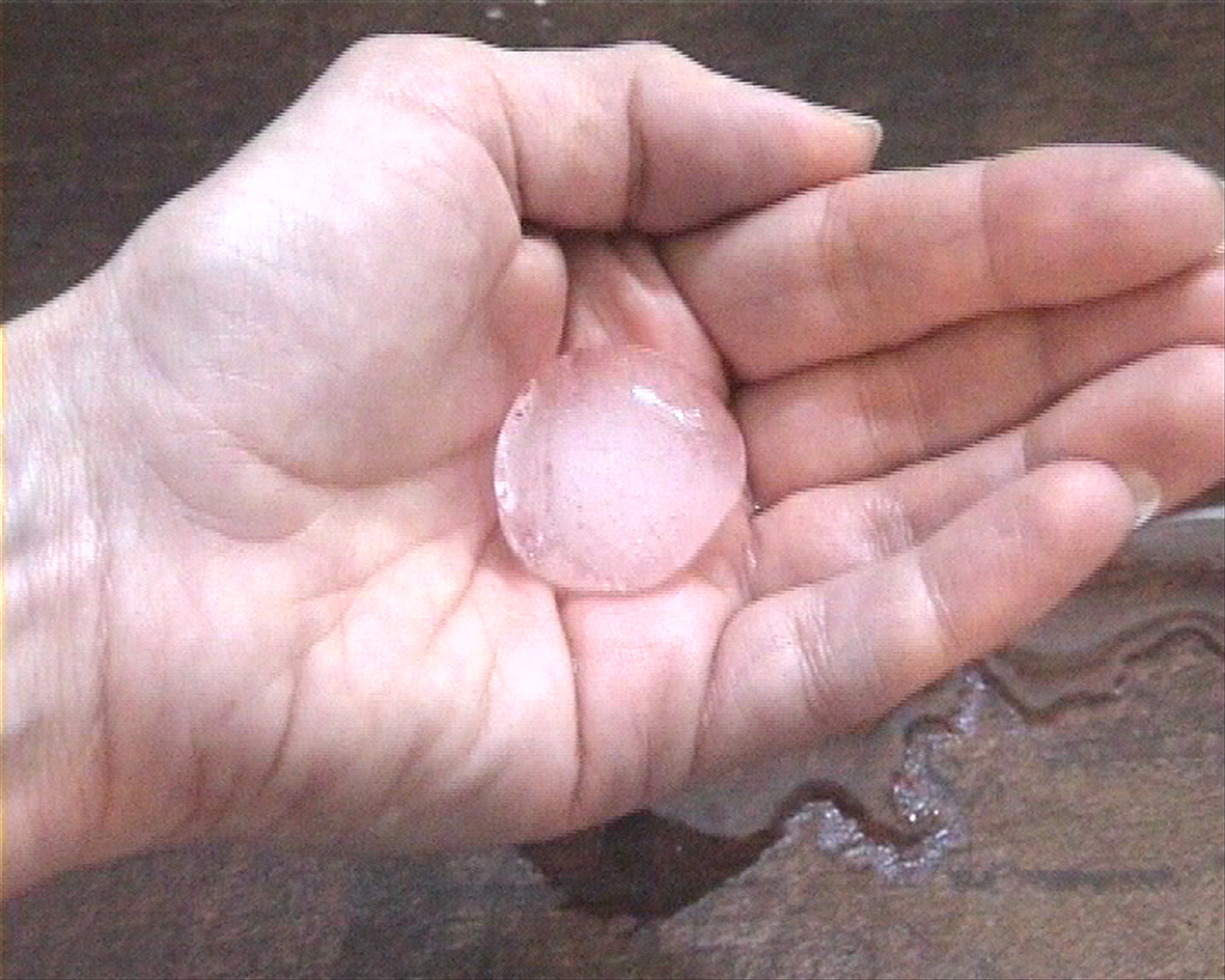 Grasping and Clinging — installation detail, hand with ice