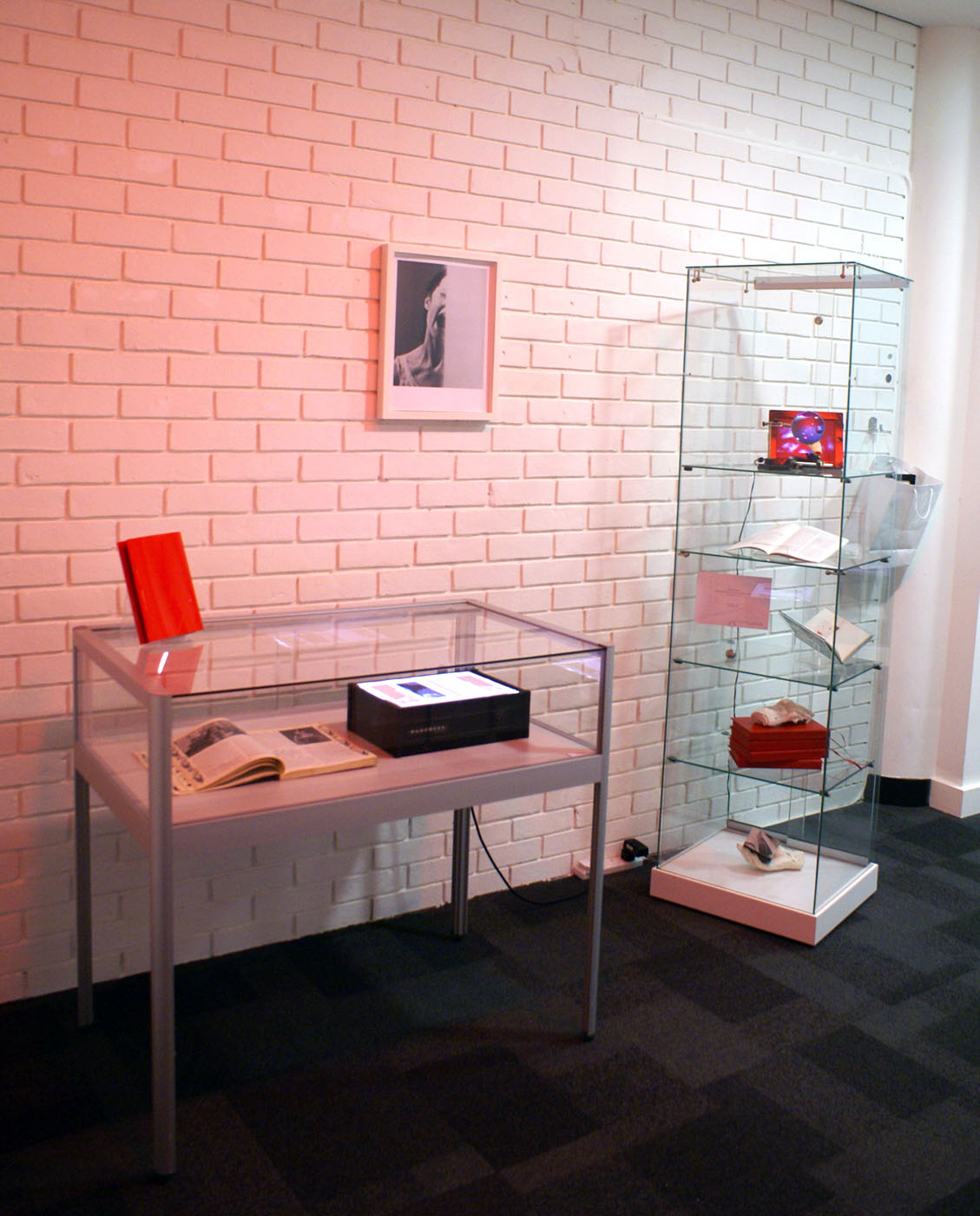 Special Collection of Troublemaking — installation