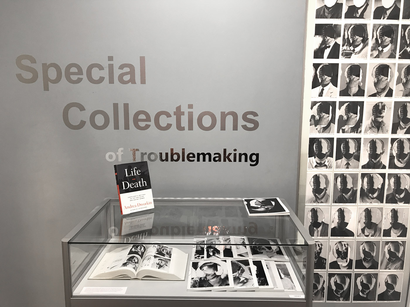 Special Collection of Troublemaking — installation view