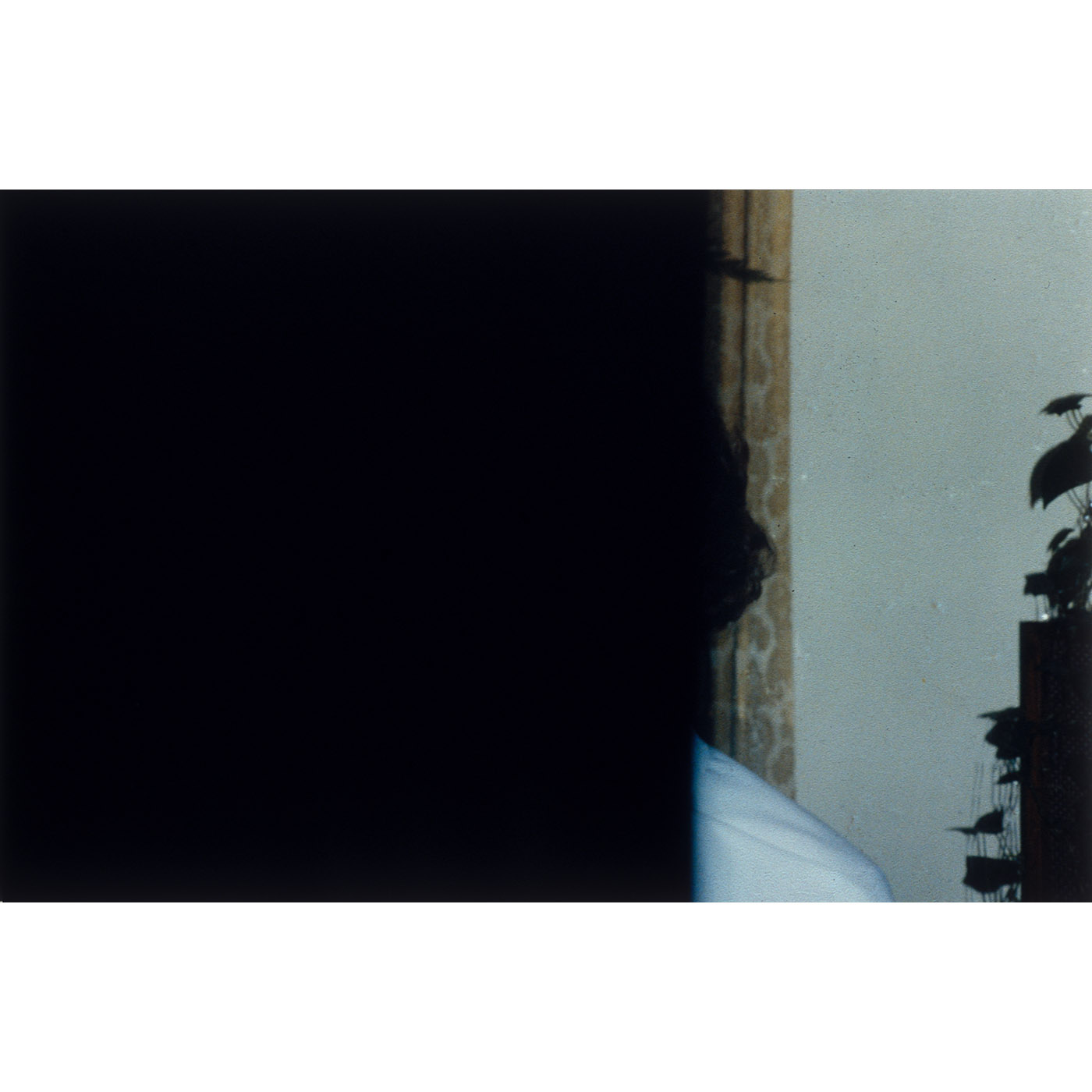 A Catalogue of Errors — image 4
