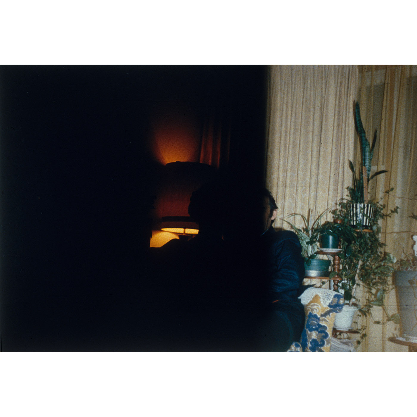 A Catalogue of Errors — image 6