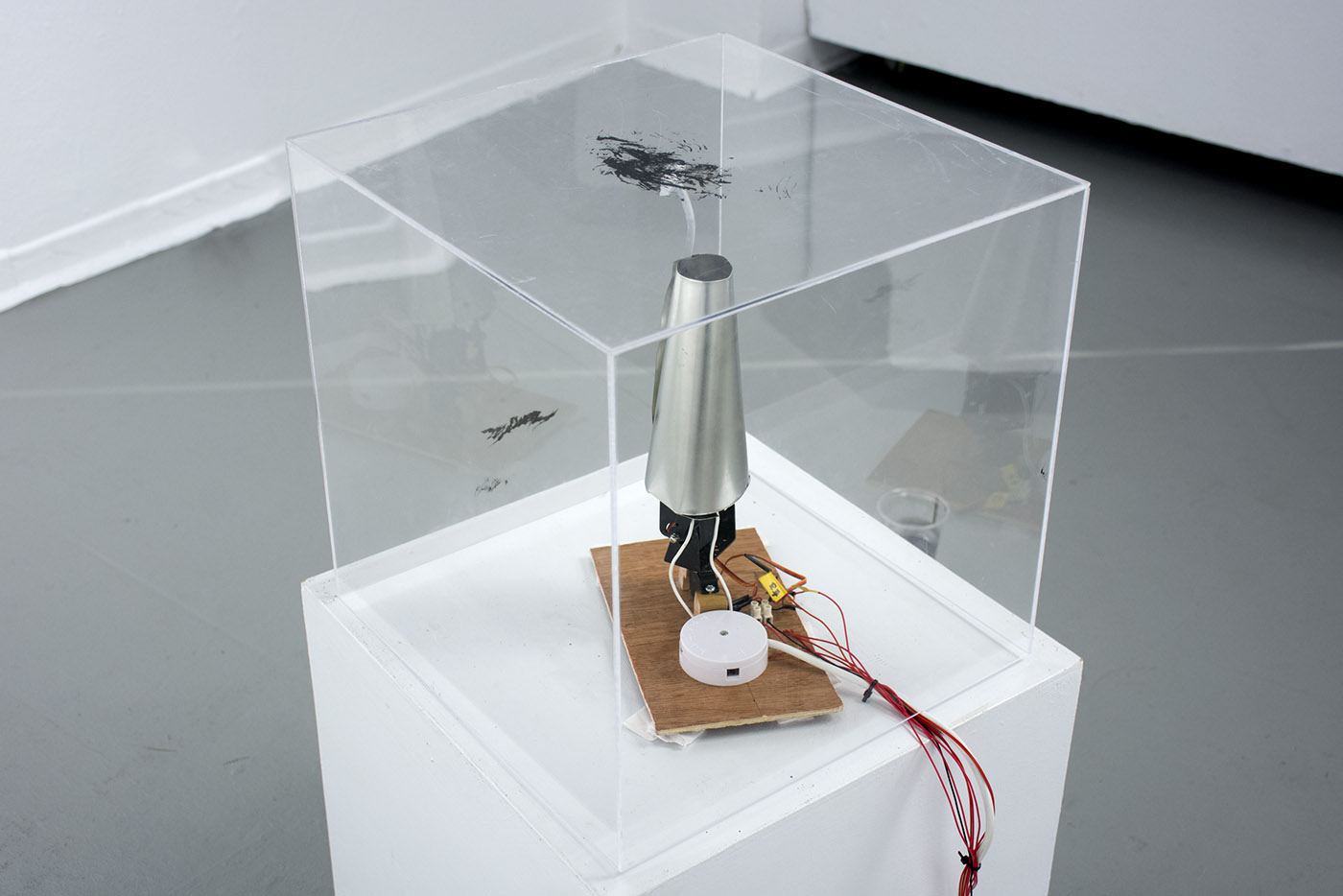 I am @ here alive — installation view 3