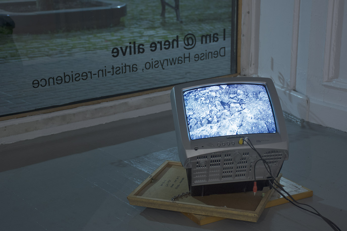 I am @ here alive — installation view 4