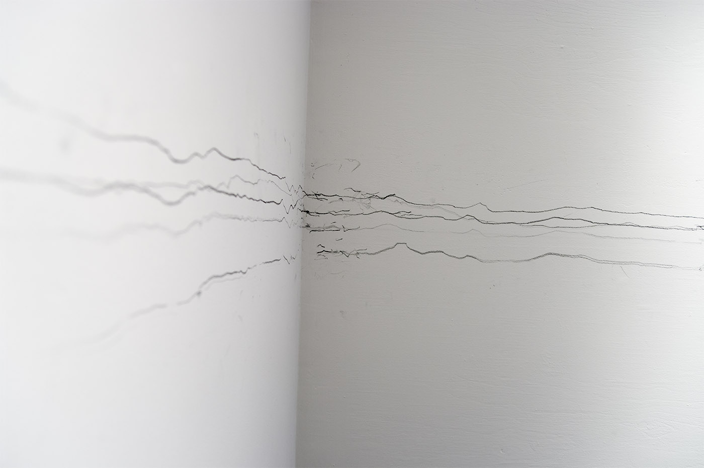A User's Guide to Direct Visual Action — installation view 4