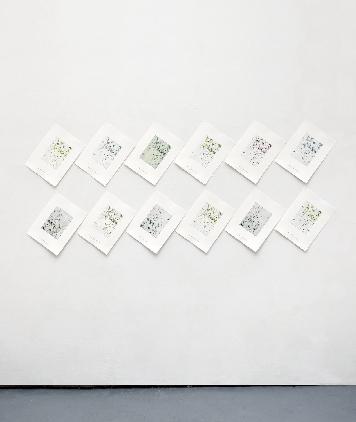 Chip installed, SNAP Gallery, Edmonton, 2011
